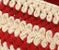 Scarlet and Ivory Crochet