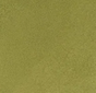 Seaweed Leather