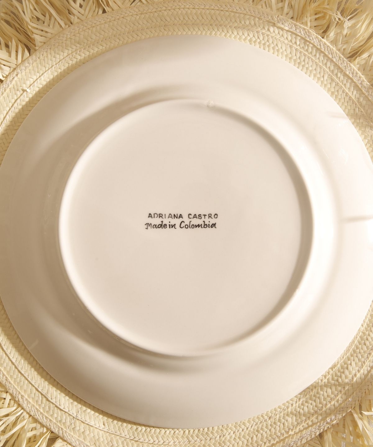 La Vichy Dinner Plate