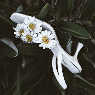 Larroudé floral heeled sandals with oversized white daisy appliqués, styled above a turquoise pool for a summer look.