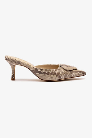 Flora Pump In Light Python Print