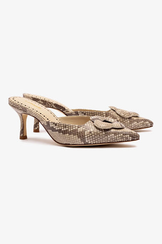 Flora Pump In Light Python Print