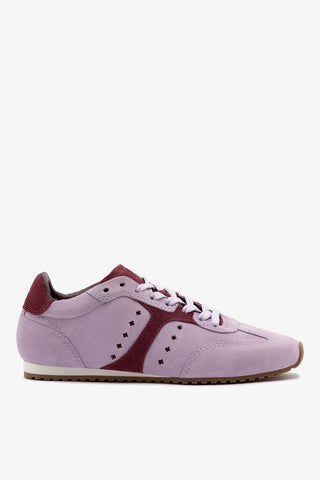 Stella Sneaker Iris Suede