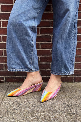 Loulou Mule Rainbow Raffia Mule Larroudé