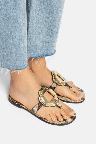Margherita Thong Sandal in Neutral Snake Leather and Gold Hardware Flat - Sandal Larroudé