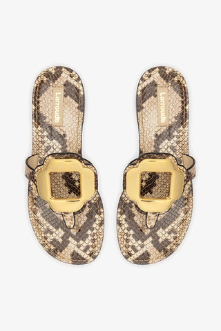 Margherita Thong Sandal in Neutral Snake Leather and Gold Hardware Flat - Sandal Larroudé