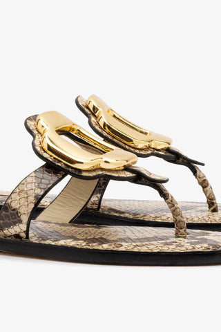 Margherita Thong Sandal in Neutral Snake Leather and Gold Hardware Flat - Sandal Larroudé