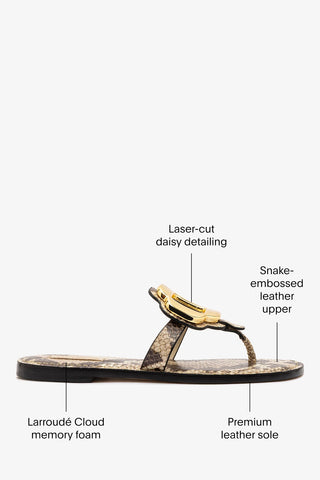 Margherita Thong Sandal in Neutral Snake Leather and Gold Hardware Flat - Sandal Larroudé