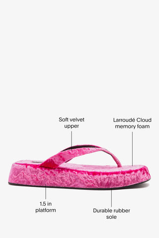 Roxy Thong Sandal Pink Velvet Mule Larroudé