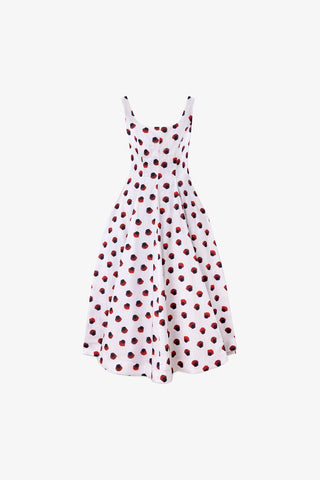Sophia Dress White Floral Cotton Clothing Larroudé x Jonathan Cohen