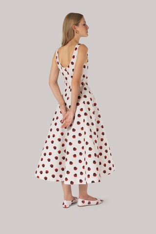 Sophia Dress White Floral Cotton Clothing Larroudé x Jonathan Cohen