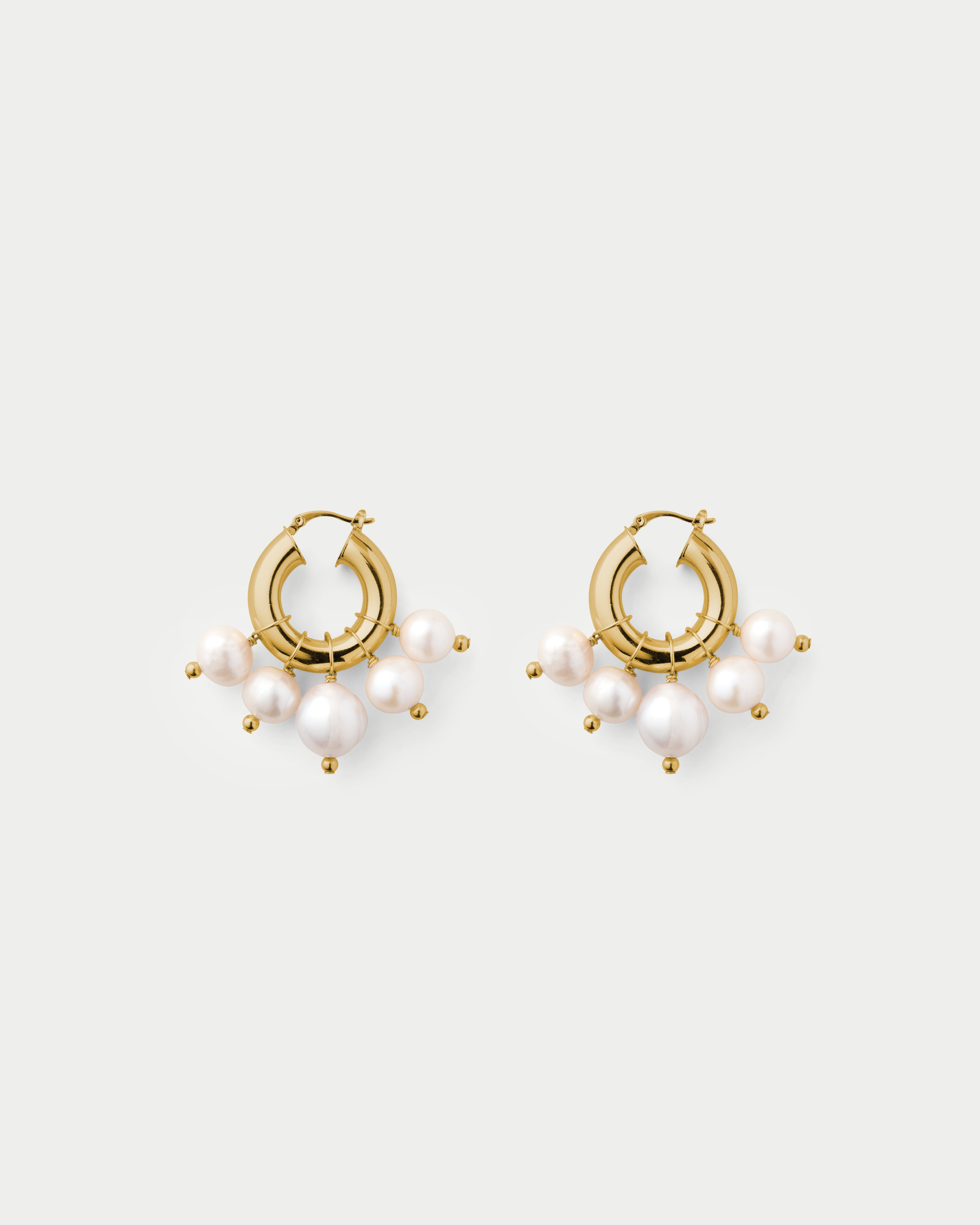 Sandro Earrings