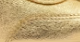 Gold Metallic Leather