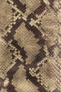  Neutral Snake Leather and Gold Hardware